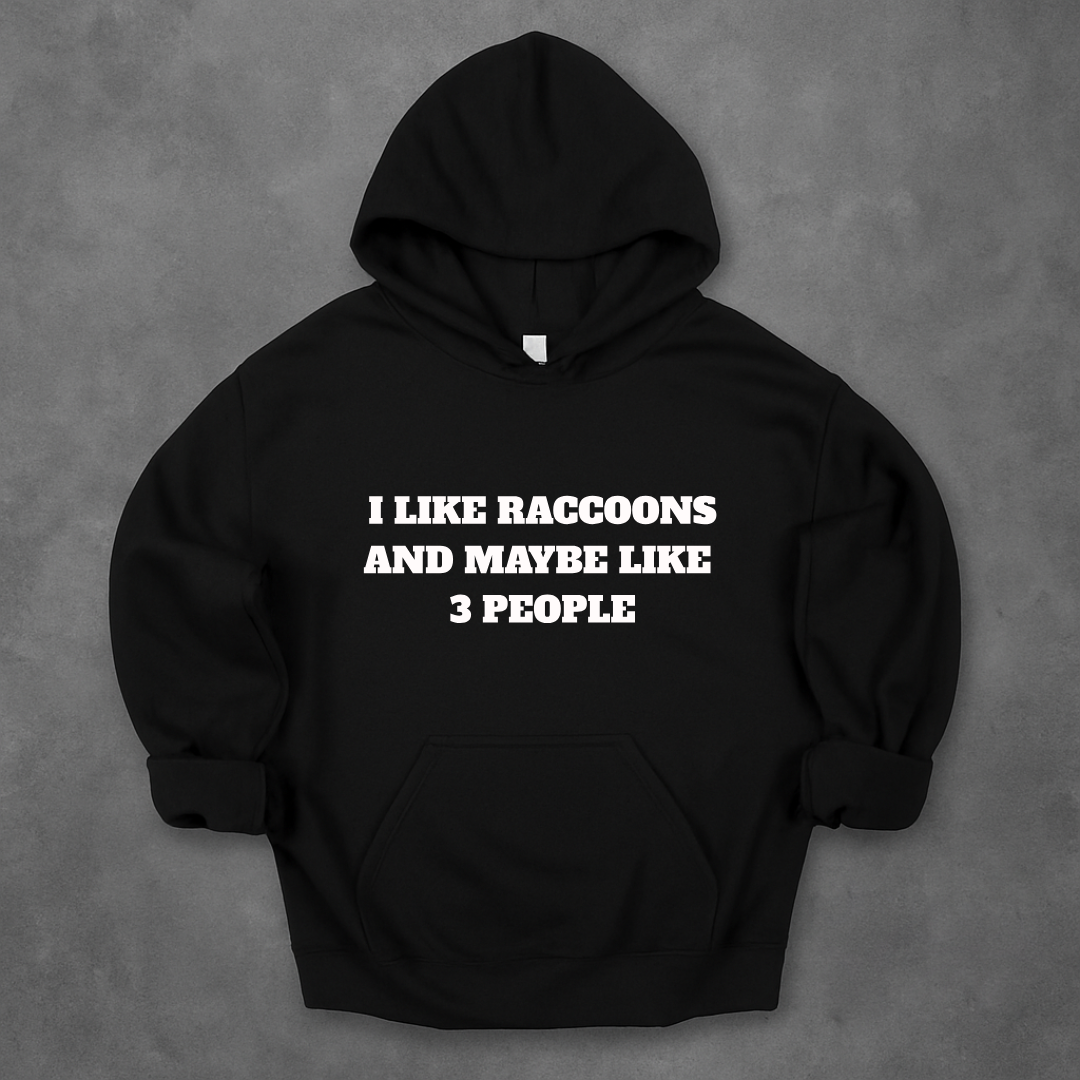 I Like Raccoons And Maybe Like 3 People Hoodie