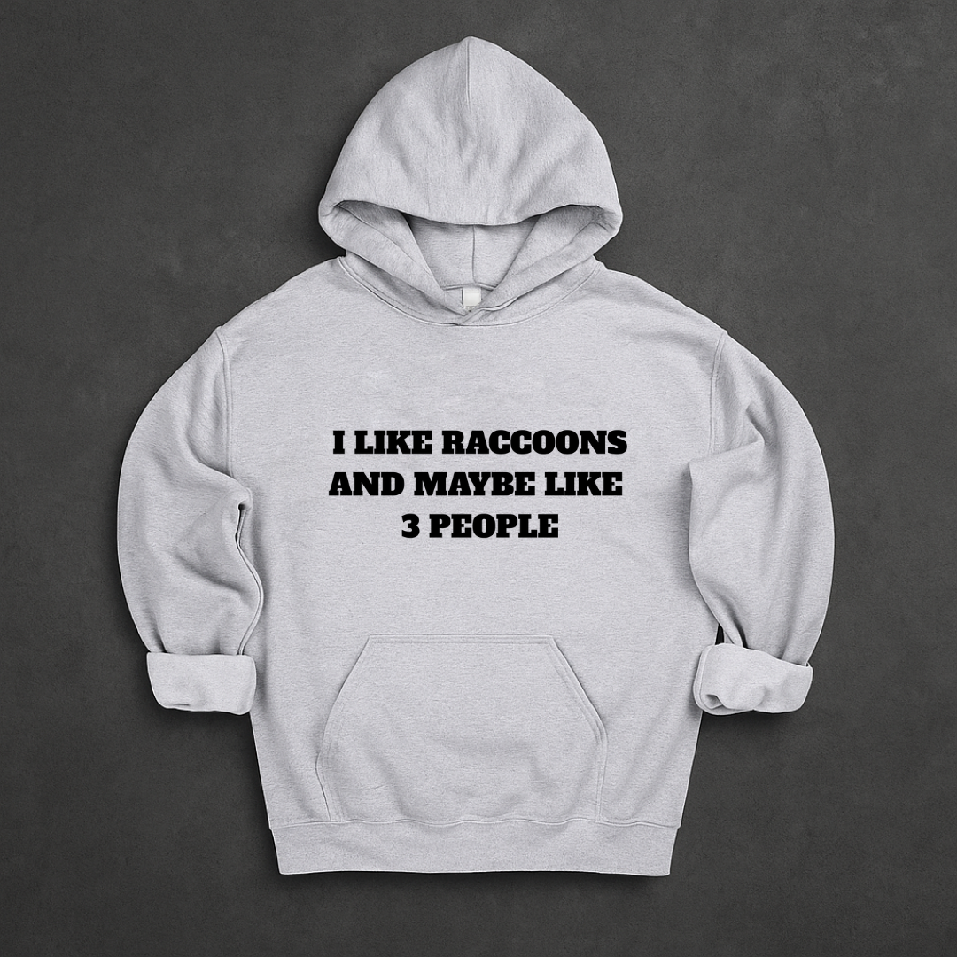 I Like Raccoons And Maybe Like 3 People Hoodie
