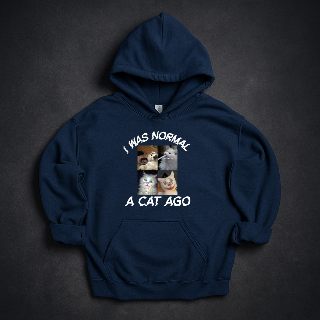 I Was Normal A Cat Ago Hoodie