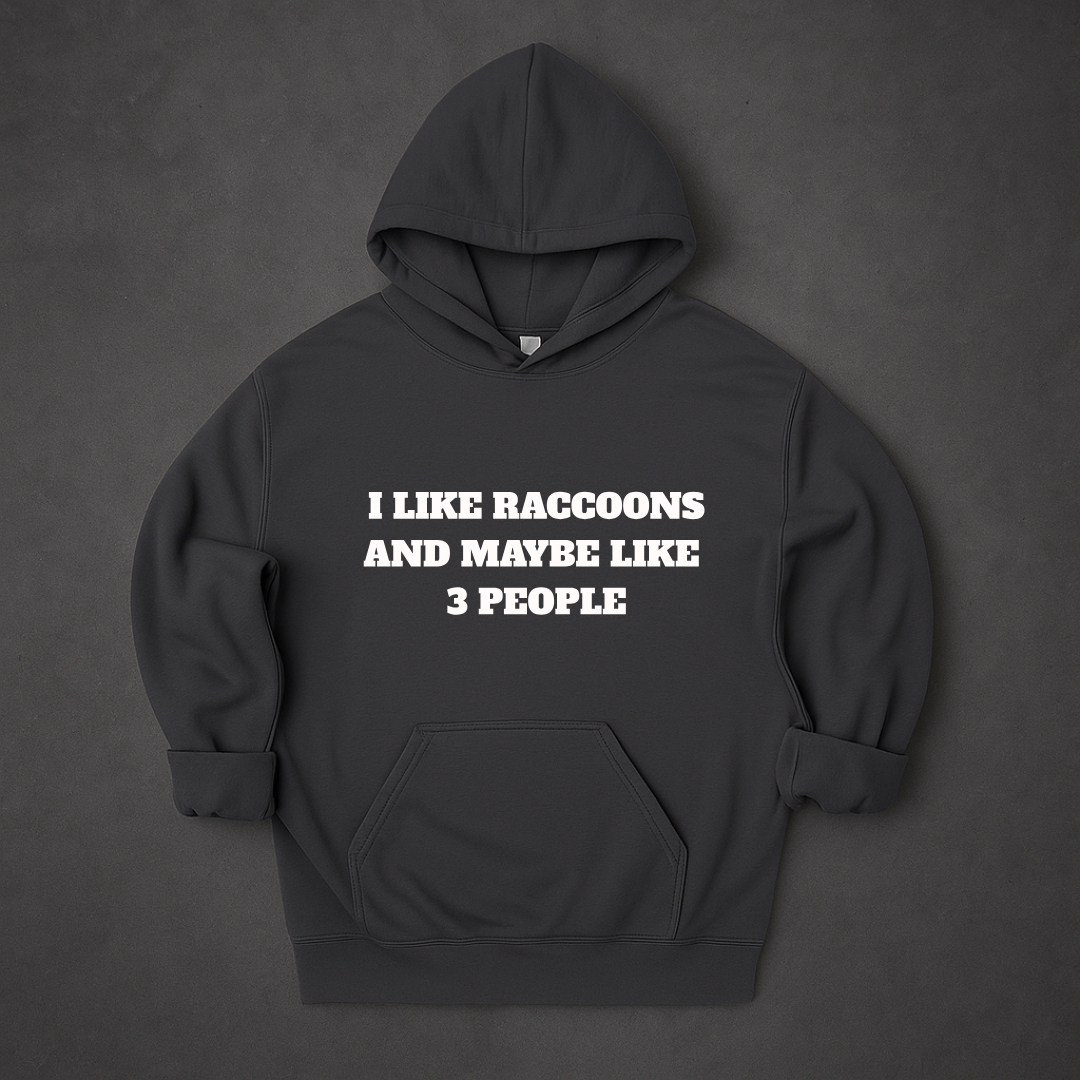 I Like Raccoons And Maybe Like 3 People Hoodie