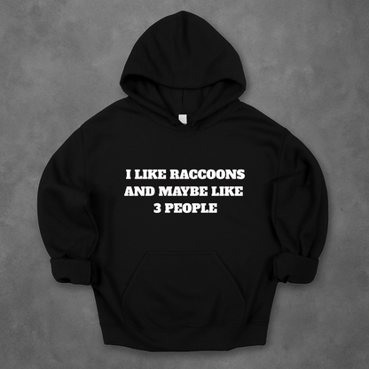 I Like Raccoons And Maybe Like 3 People Hoodie