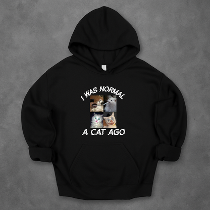 I Was Normal A Cat Ago Hoodie