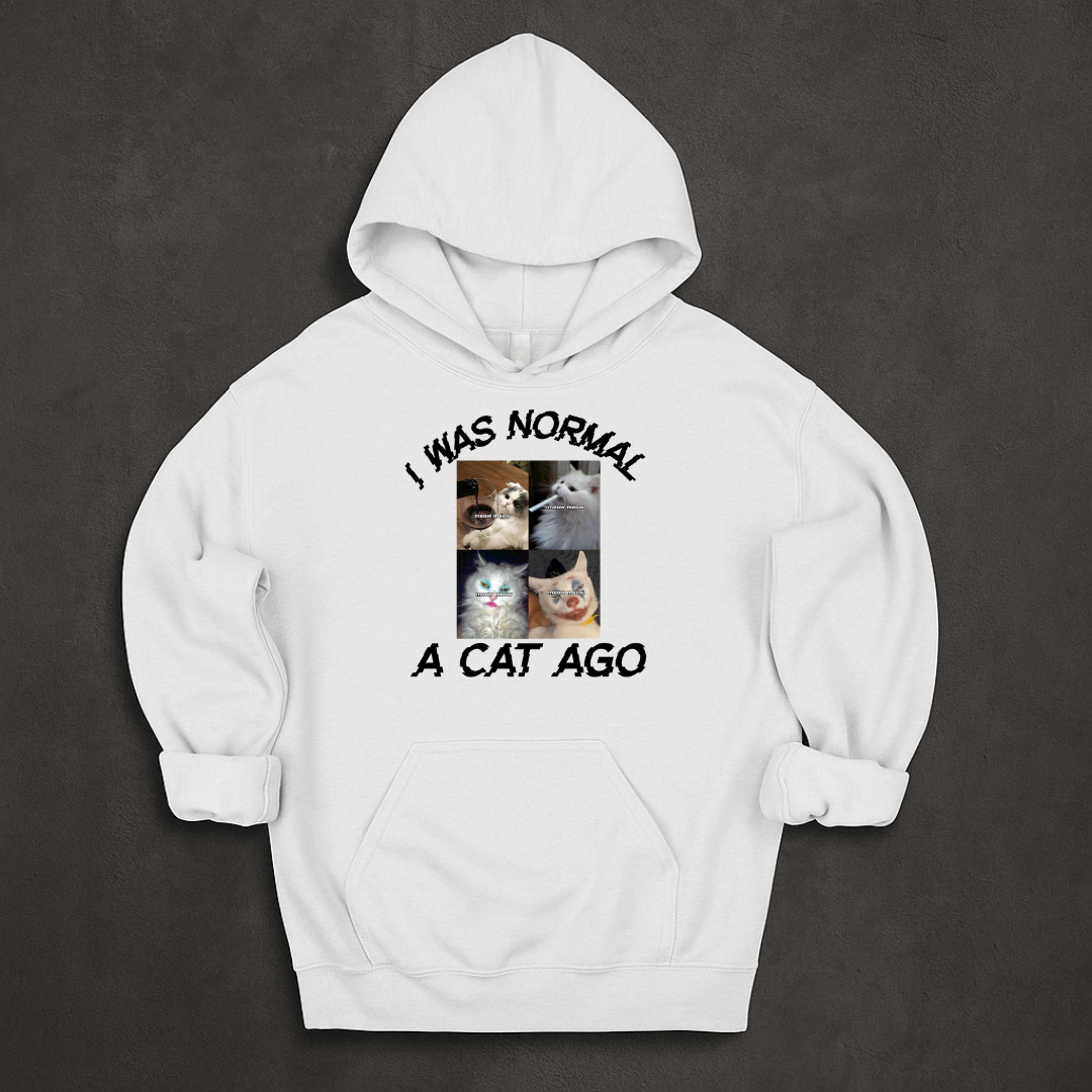 I Was Normal A Cat Ago Hoodie