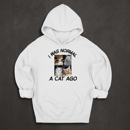 I Was Normal A Cat Ago Hoodie
