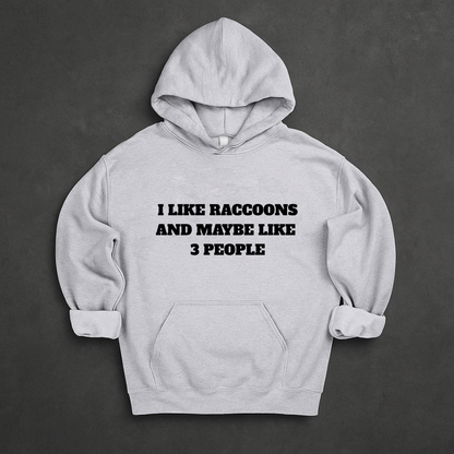 I Like Raccoons And Maybe Like 3 People Hoodie