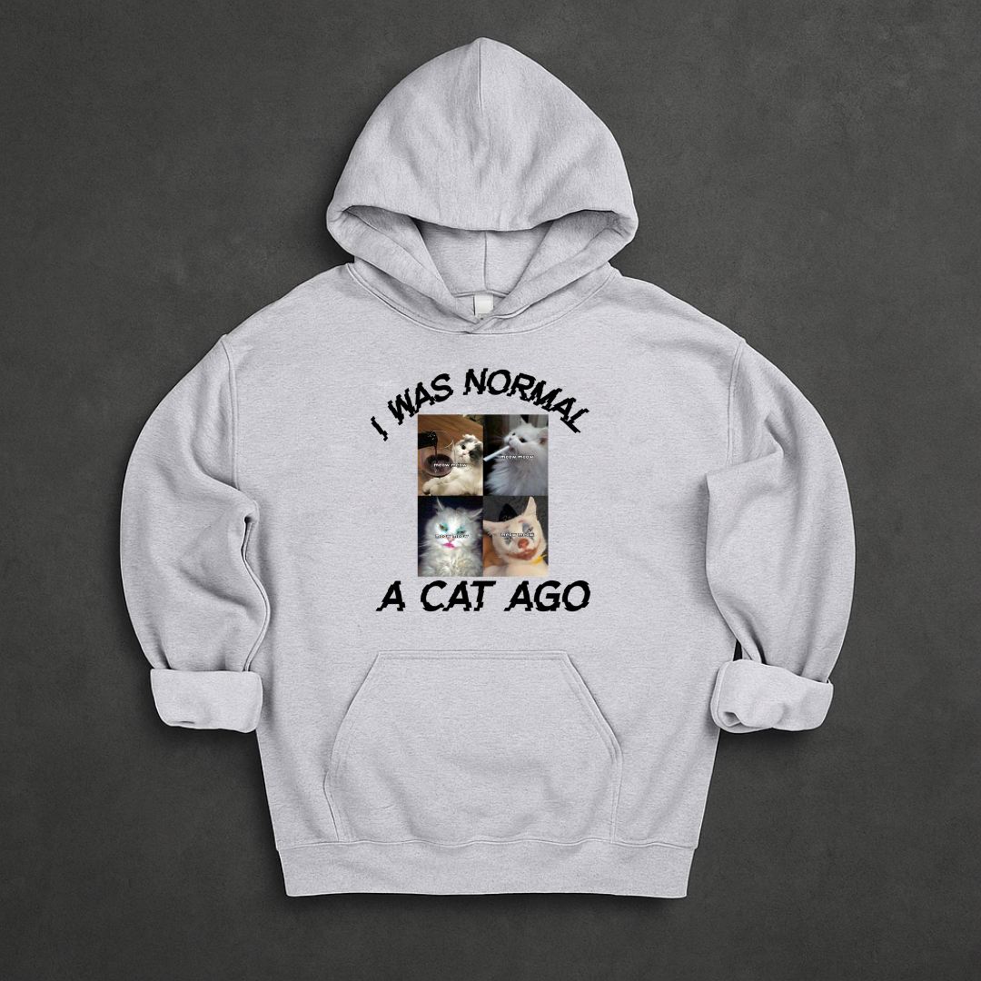 I Was Normal A Cat Ago Hoodie