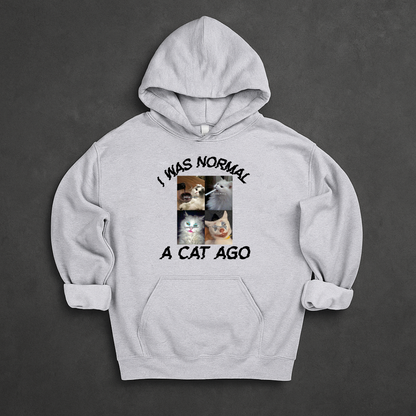 I Was Normal A Cat Ago Hoodie