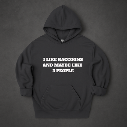I Like Raccoons And Maybe Like 3 People Hoodie