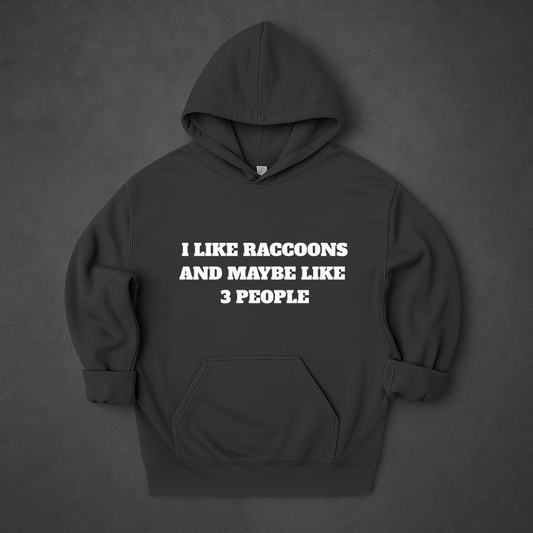 I Like Raccoons And Maybe Like 3 People Hoodie